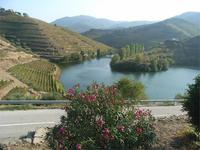 Blick ins Douro-Tal