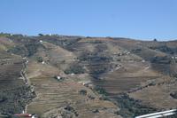 Die Weinberge im wunderschönen Douro-Tal