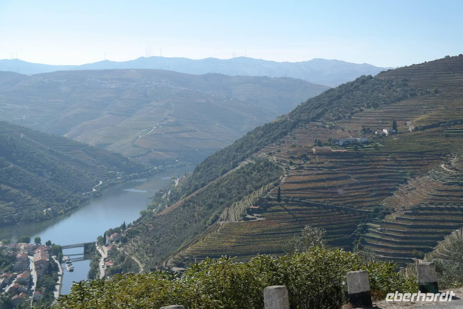 Die Weinberge im wunderschönen Douro-Tal