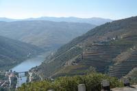 Die Weinberge im wunderschönen Douro-Tal