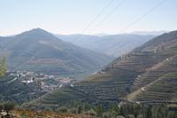 Die Weinberge im wunderschönen Douro-Tal