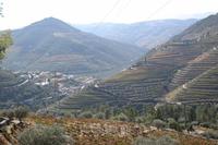 Die Weinberge im wunderschönen Douro-Tal