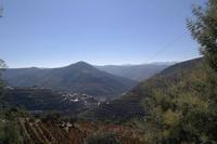 Die Weinberge im wunderschönen Douro-Tal