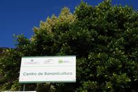 Madeira-Silvester im Atlantik 29.12.15-05.01.16