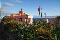 Madeira-Silvester im Atlantik 29.12.15-05.01.16