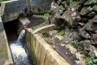 Levada Wanderung mit Fatima