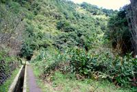 Levada Wanderung mit Fatima