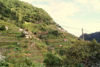 Levada Wanderung mit Fatima