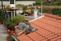 Levada Wanderung mit Fatima