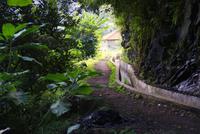 Levada Wanderung mit Fatima