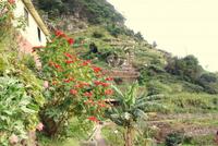 Levada Wanderung mit Fatima