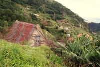 Levada Wanderung mit Fatima