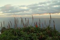 Madeira-Silvester im Atlantik 29.12.-05.01.16