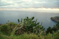 Madeira-Silvester im Atlantik 29.12.-05.01.16