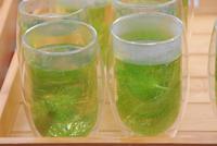 Fencheltee mit Zitronengras-lecker!