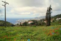 Madeira-Silvester im Atlantik 29.12.-05.01.16