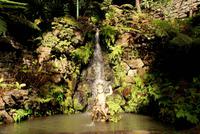 Monte Palace-Tropical Garden