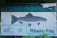 Ribeiro Frio Forellenzucht