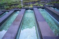 Ribeiro Frio Forellenzucht