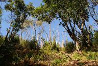 Levada Wanderung mit Fatima