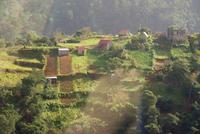 Madeira-Silvester im Atlantik 29.12.-05.01.16