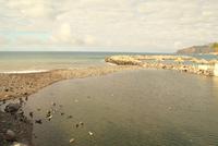 Madeira-Silvester im Atlantik 29.12.-05.01.16