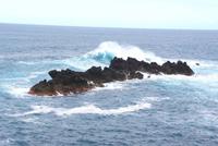 Madeira-Silvester im Atlantik 29.12.-05.01.16