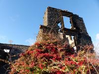 003. Canico, Madeira