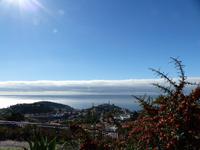 020. Blick vom Pico dos Barcelos, Madeira