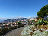 023.Blick vom Pico dos Barcelos, Madeira