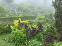 036. Palheiro Gardens, Madeira