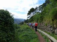 077. Levada Wanderung, Madeira