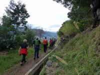 080. Levada Wanderung, Madeira