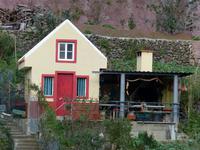 083. Levada Wanderung, Madeira