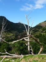 084. Levada Wanderung, Madeira