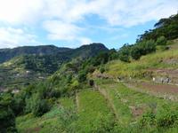 085. Levada Wanderung, Madeira