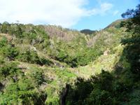 087. Levada Wanderung, Madeira