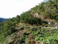 088. Levada Wanderung, Madeira