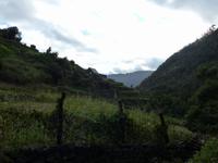 094. Levada Wanderung, Madeira