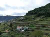 096. Levada Wanderung, Madeira