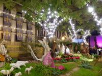 141. Funchal, Madeira