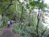 157. Levada Wanderung durch den Lorbeerwald, Madeira