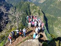 162. Levada Wanderung durch den Lorbeerwald, Madeira