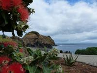 193. Porto Moniz, Madeira