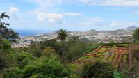 115_im Botanischen Garten in Funchal