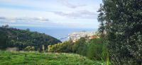 116 Palheiro Garden