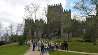 Castel in Guimaraes