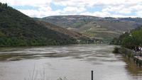 Rio Douro