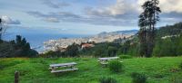 117 Blick auf Funchal