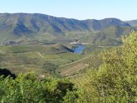 Douro-Tal